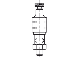 2162 - Druppelaar